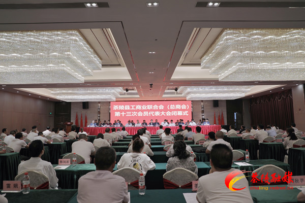 茶陵县工商业联合会（总商会）第十三次会员