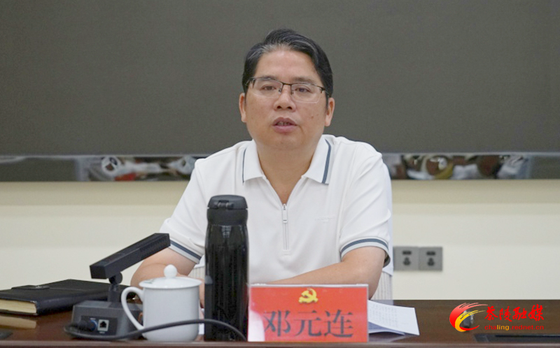 茶陵县乡村振兴重点工作暨推进县域经济高质量发展调度会召开(图2)