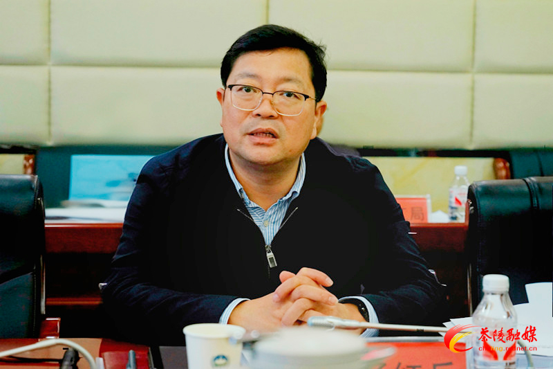 杨红兵主持召开茶陵县空间规划第四次专题会议(图2)