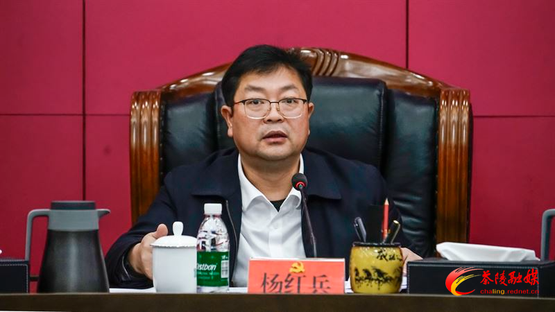 杨红兵主持召开县委常委会2025年第4次会议(图2)